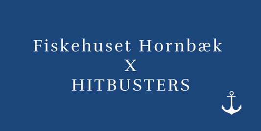 Sommerkoncert HITBUSTERS den. 23. Juli