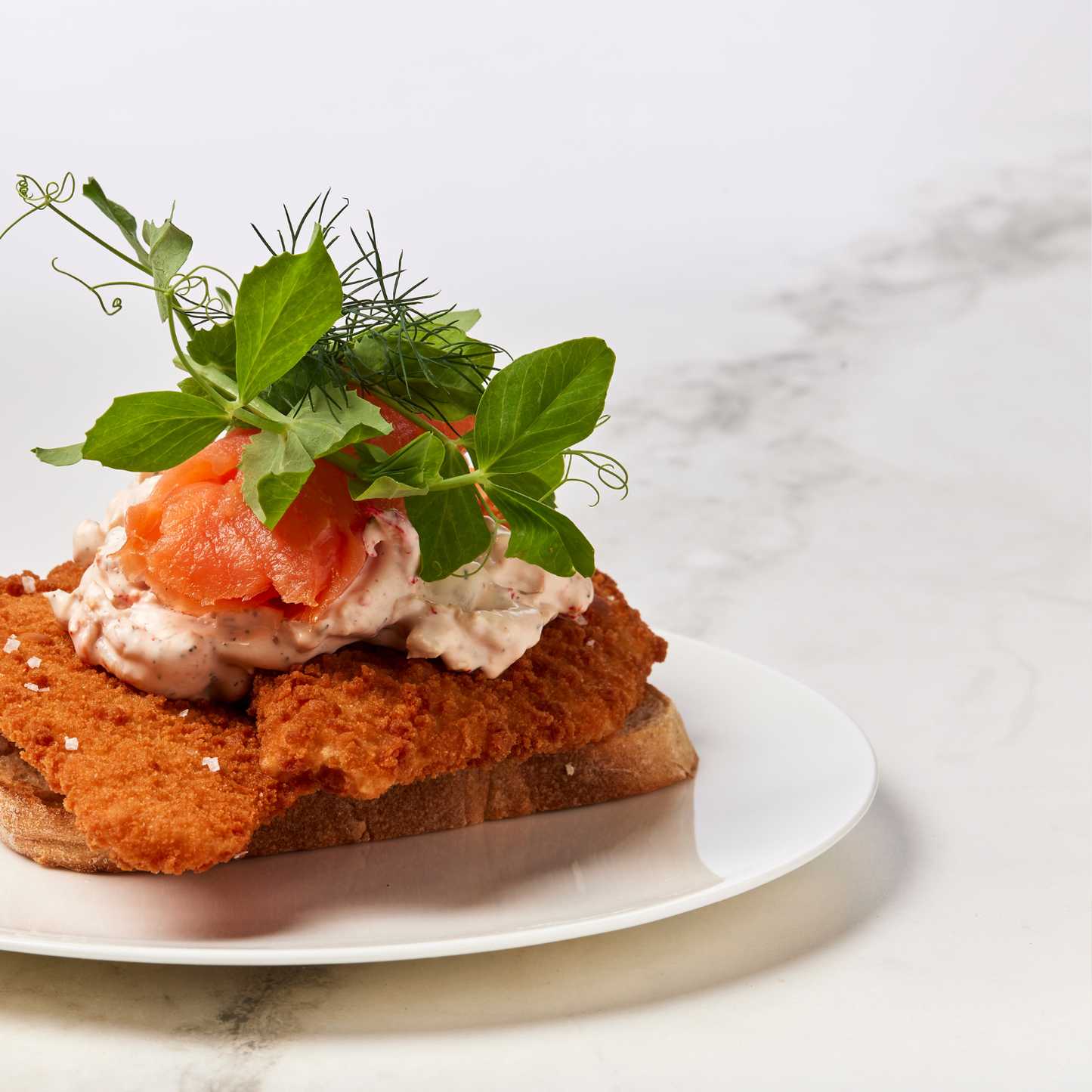 Stjerneskud SIGNATUR